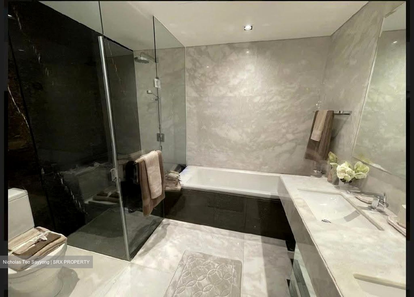 St. Regis Residences (D10), Apartment #565918241